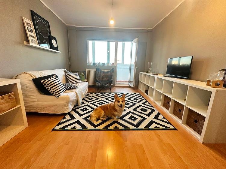Apartament 2 Camere Iancului l Pet Friendly
