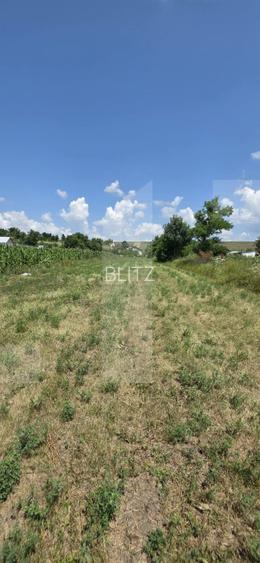Teren intravilan, 1477mp , Loc. Balusenii Noi - Botoșani