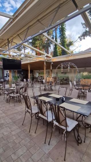 Restaurant de vânzare, 688 mp, zona Parcului Chindia - 11