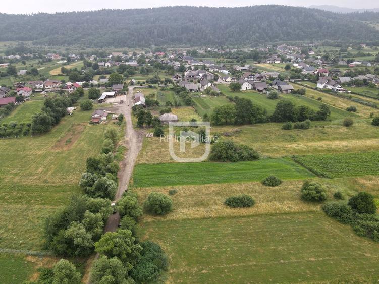 Teren Malini 3600mp | Suceava | Bucovina - 2