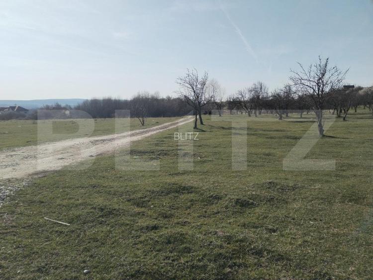 Teren intravilan cu suprafață de 9ha, Aninoasa - 2