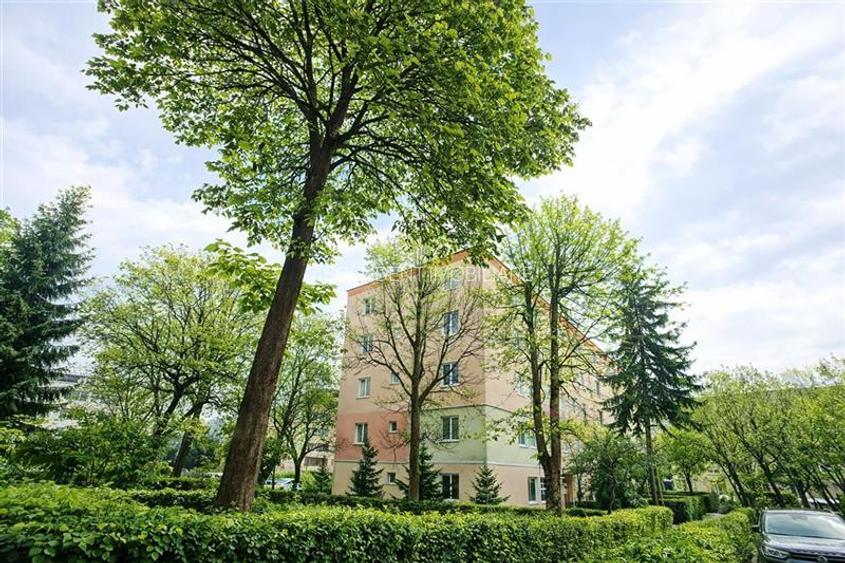 Apartament 2 camere, cartierul Florilor, renovabil, spatiu verde, Brasov - 5