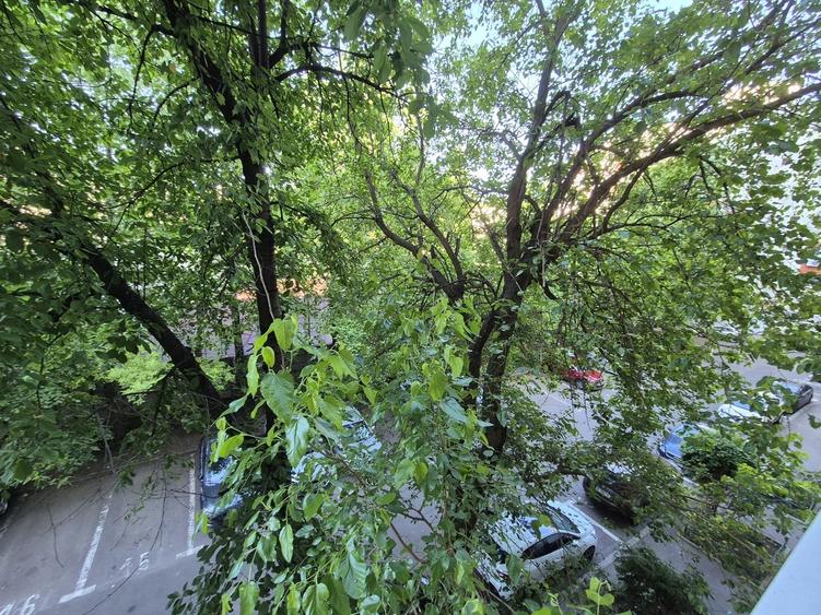 Ion Mihalache-parcul Kiseleff, vanzare apartament 3 camere decomandat