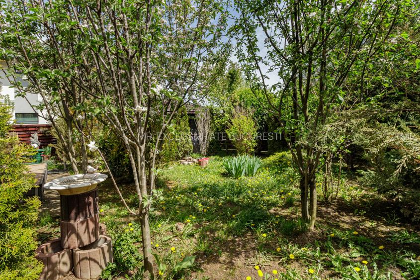 Vila spațioasă și elegantă, aproape de pădure – Tunari, Ilfov - 13