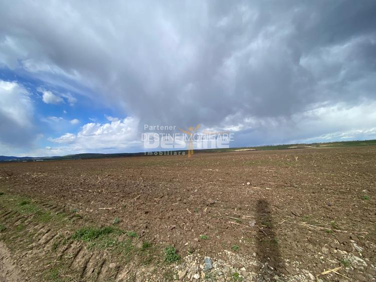 Teren de vanzare Dumbrava Rosie 20.000 Euro 900mp - 14