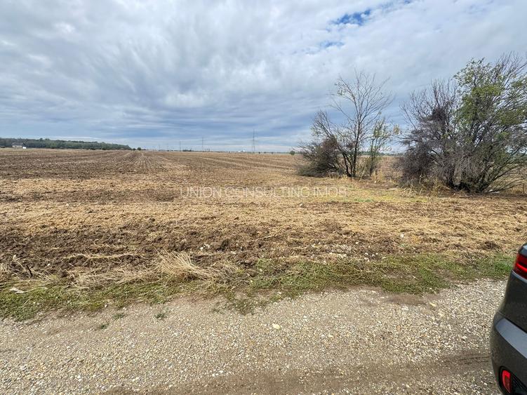 MAGURELE iF LOCALITATEA PRUNI ,LOTURI DE VANZARE - 9