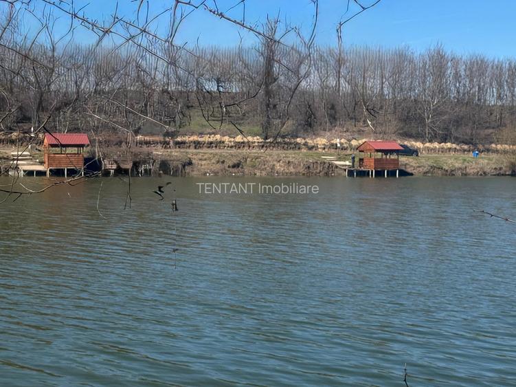 Vanzare Teren 1800mp Ganeasa Piteasca - 6