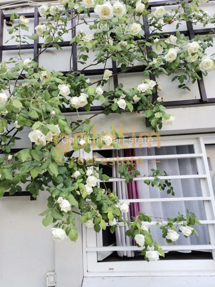 IANCU NICOLAE/ GRADINA SUPERBA/LOCURI DE PARCARE/SPATII GENEROASE - 58