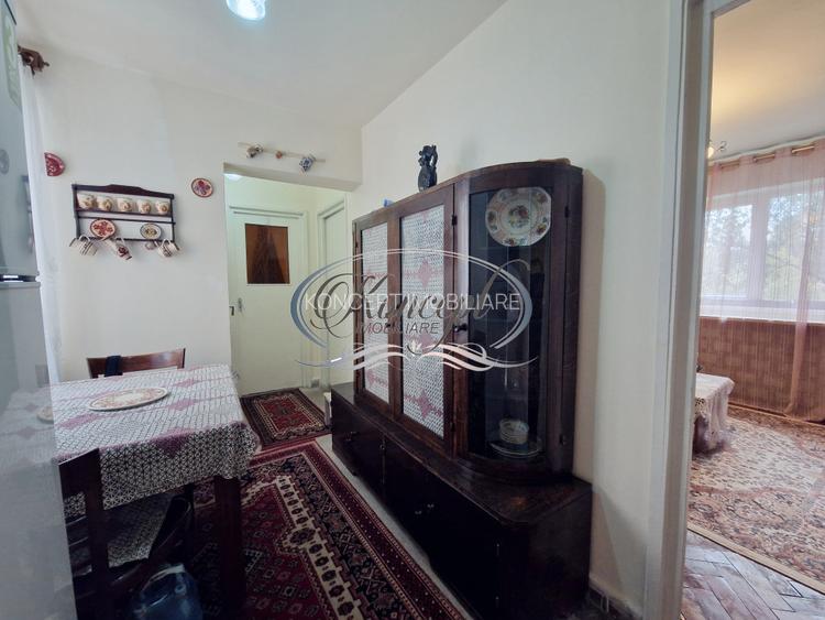 Apartament spatios, etaj intermediar, zona Academiei de muzica - 8