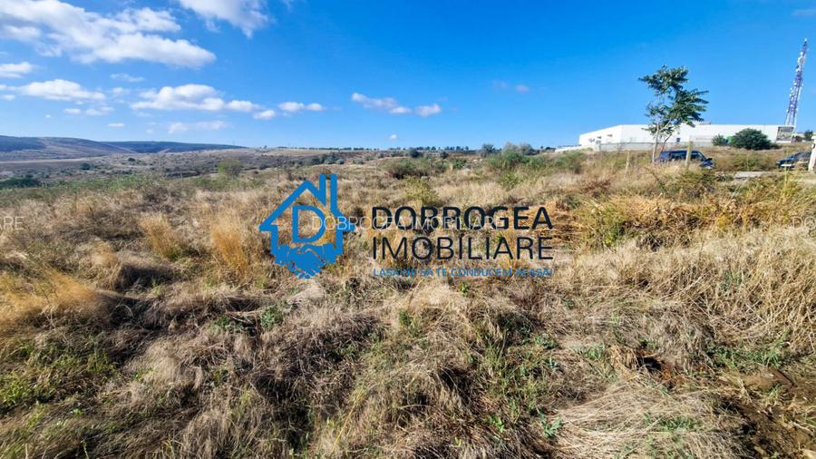 ZONA PECO- TEREN 1496 MP, IDEAL CONSTRUCTII LOCUINTE - 7