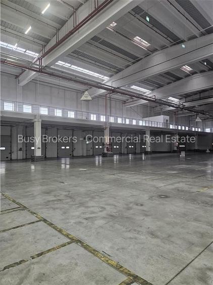 Spatii Industriale - 10000 mp - Logistica - Productie - Depozitare - Distributie - 8