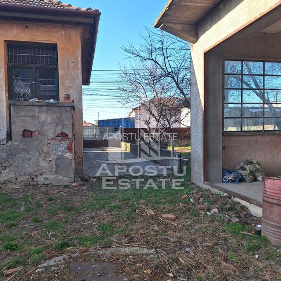 Casa individuala cu teren mare 843 mp,in zona Modern. - 12