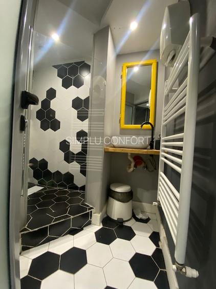 Cismigiu-Mircea Vulcanescu - 4