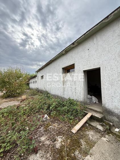 Hala de productie sau pentru depozitare Ortisoara - 2