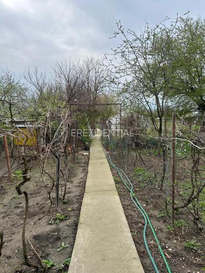 Casa + teren -centrala proprie -Cornetu -Ilfov - 17