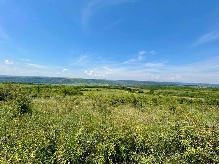 Teren 3600 mp extravilan Dobrovăț, Iași - 1.6 euro/mp, Negociabil, Priveliște Panoramică