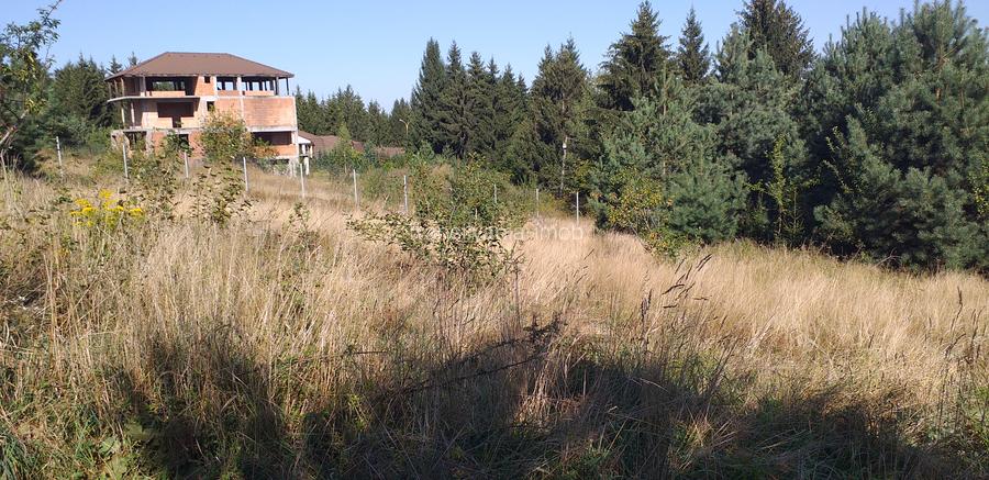 Teren Sacele zona de relaxare pretabil investitie - 2