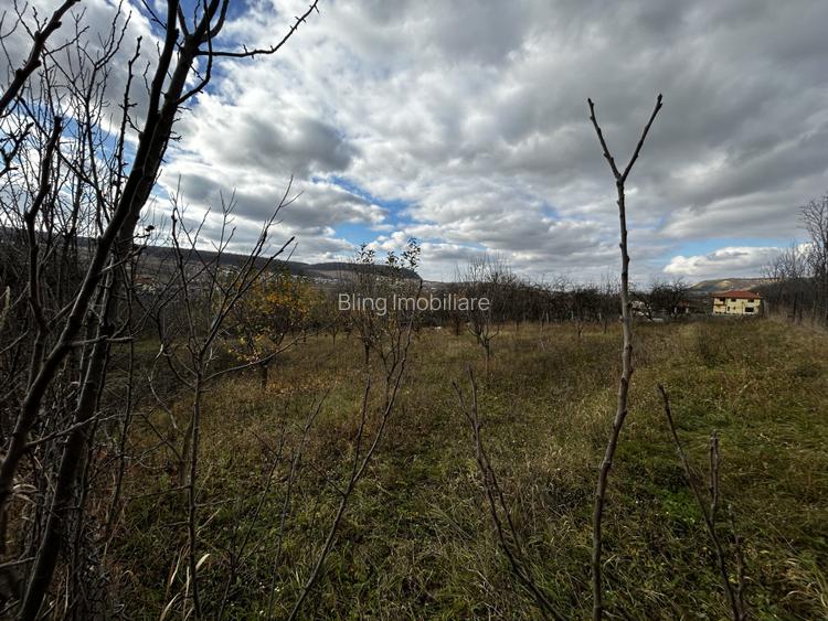 Teren intravilan in Chinteni 1.250mp pentru case sau Duplex  - 4
