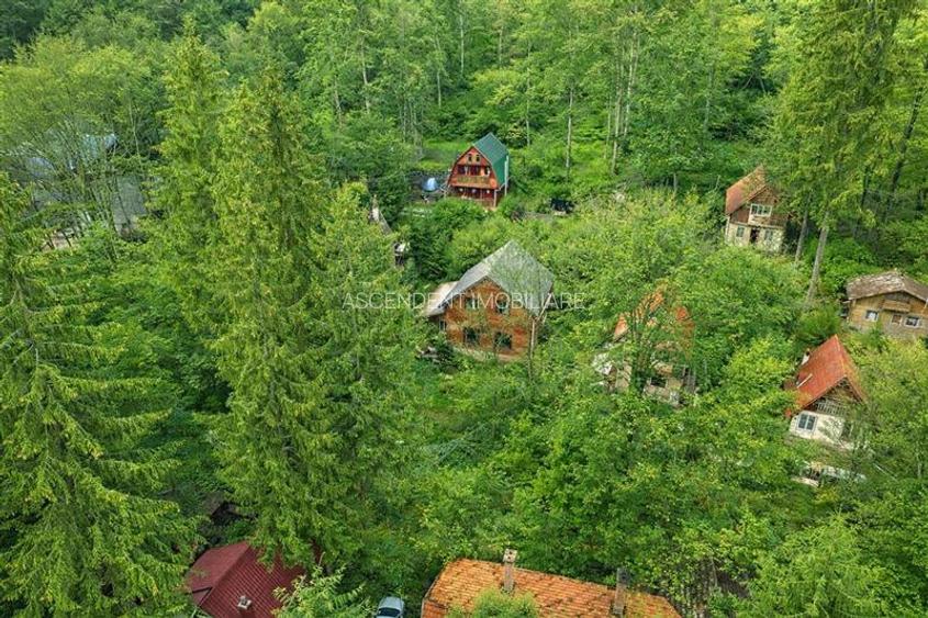 FILM! Rezidenta pe apreciabile conditii, in statiunea Sugas Bai, Covasna - 8