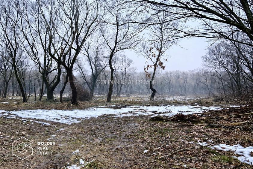 Teren 3.900 mp, Lipova – Șoimoș - 3