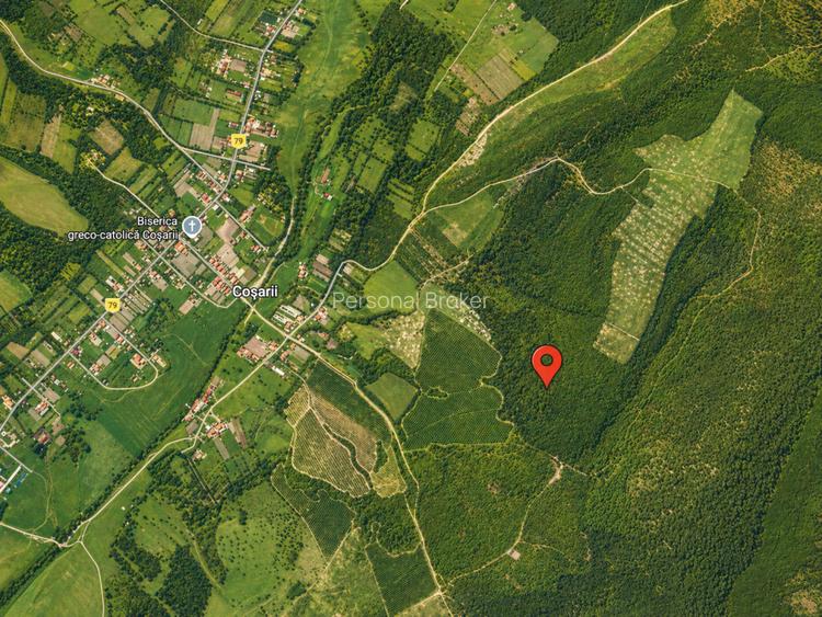 Teren 20 ha vestul Romaniei – ideal plantație aluni / livadă - 5