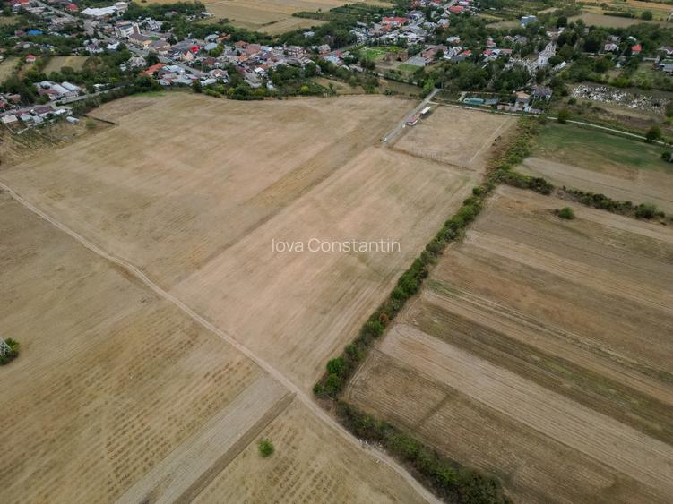 Teren intravilan 30.110 mp Filipeștii de Târg – ideal investiție / dezvoltare –  - 7