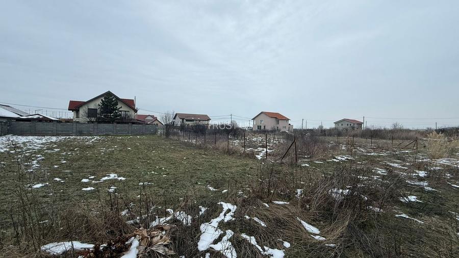 COMISION 0% | Teren de Vanzare in Sacalaz | Front 20m | 605mp - 3