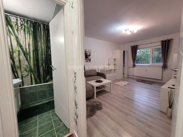 Tineretului I Garsoniera I Decomandat I Renovat Total I Bloc 1981 I Parter I - 11