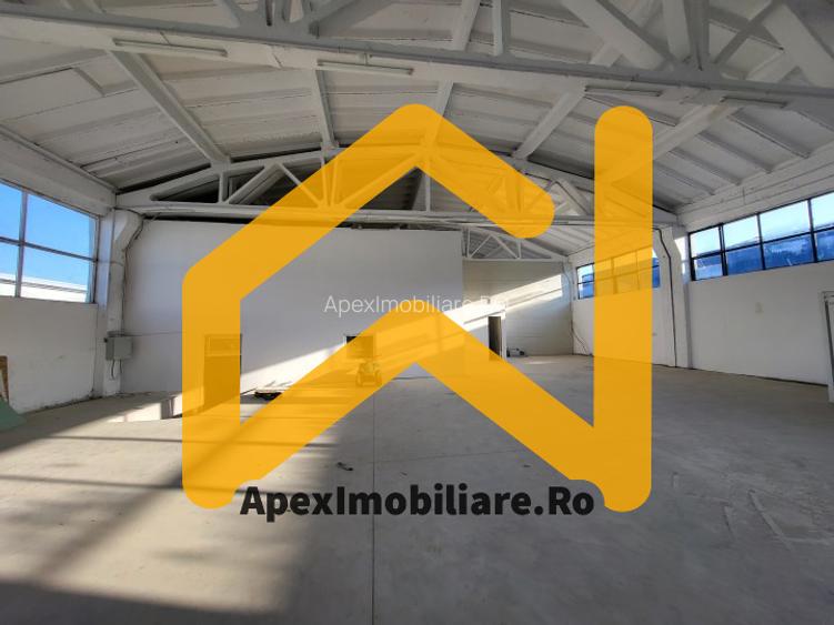Hala Industriala Xenia – 1800 mp, Acces TIR, Parcare 50 Auto - 11
