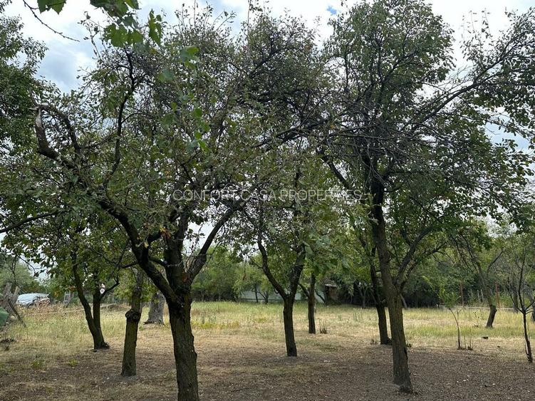 Stefanesti-sat Viișoara, Argeș, teren intravilan racordat la toate utilitățile - 5