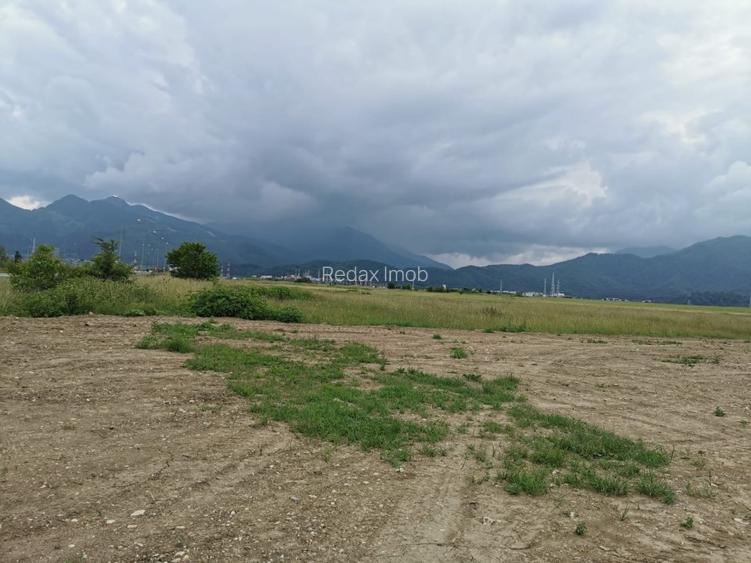 Teren pentru hale si depozite Timisul sec- Uzina 2 front la ocolitoare - 6