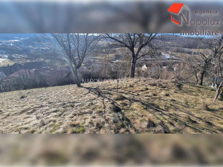 Teren de exceptie 3,1 ha intravilan | Panorama, utilitati, acces dublu | Sard - 6