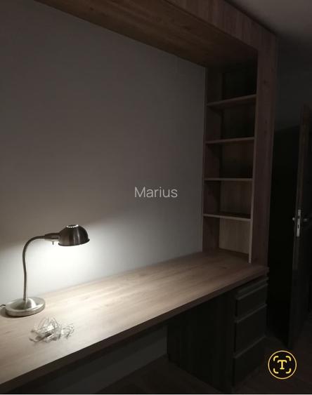 ALBERT-DIRECT PROPRIETAR(exclus agentii imob.)-Vila individuala mobilata - 7