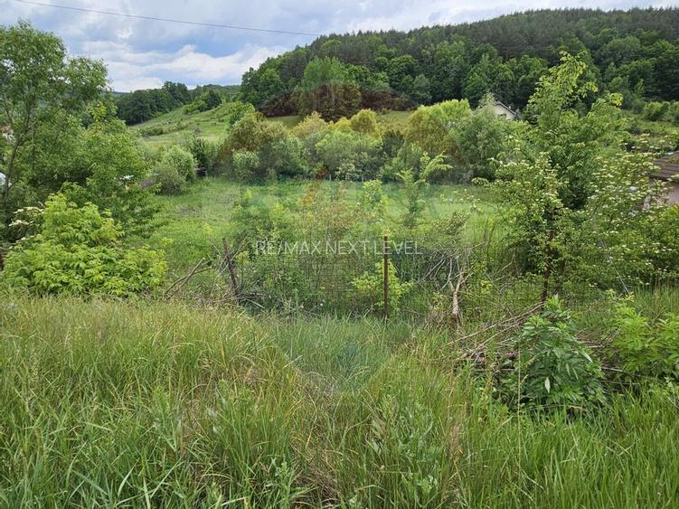 Teren intravilan de vanzare 7.797mp, Calea Moinesti, Podis - 2