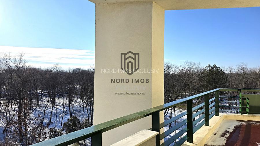 PENTHOUSE | VEDERE LIBERĂ PARC | 192 MP | 2 LOCURI PARCARE | BOXĂ | PET FRIENDLY - 20