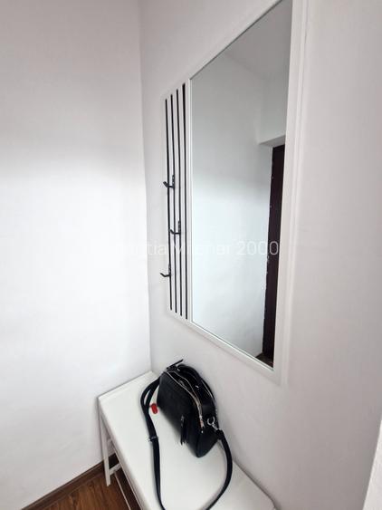 Apartament cochet zona Take Ionescu-cu centrala gaz - 21