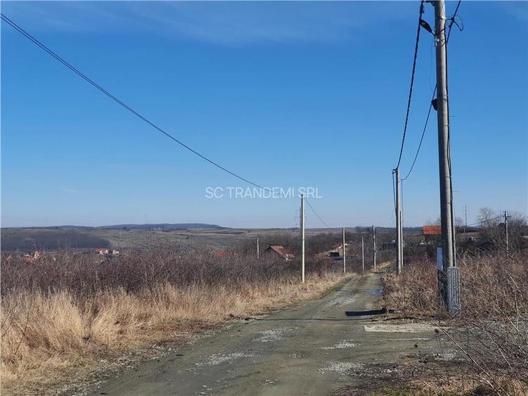 Loturi de la 430 la 480mp teren intravilan pentru contructii - Daia Nouă - 2