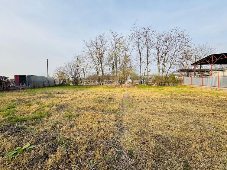 Spatiu Comercial in Rosiori - 4