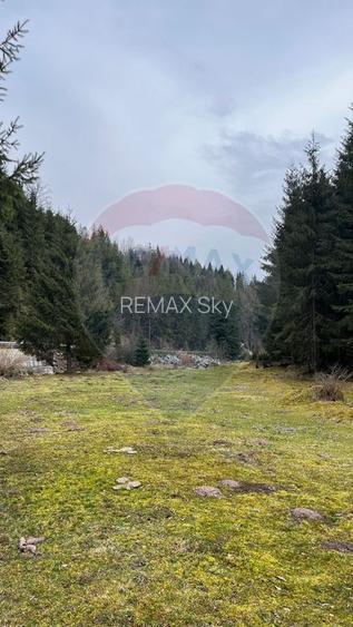 Arieșeni–Strada Fața Cristesei -Teren 4.331 mp cu Peisaj de Poveste - 4