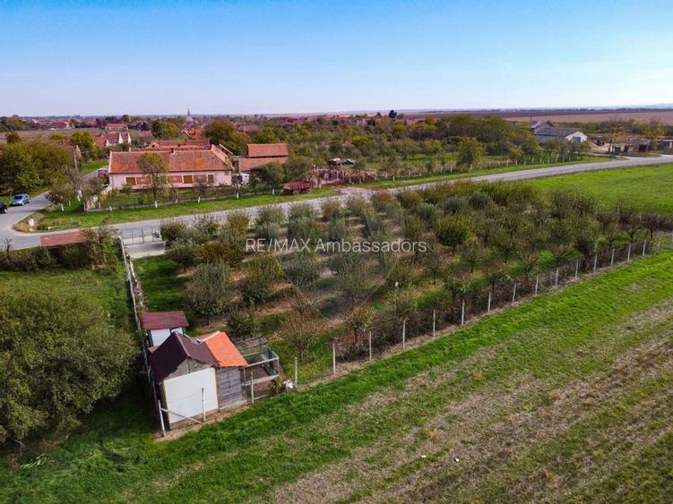 De vânzare teren cu livadă in Sârbova! - 3