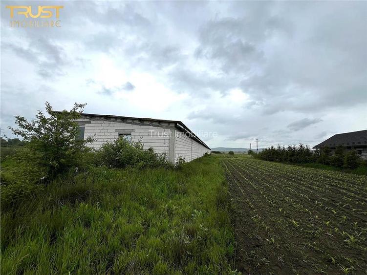 Hala industriala, spatiu depozitare 1000 mp, teren 5400 mp - 7