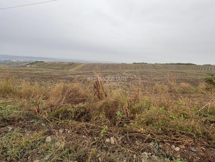 35euro/mp! Valea Lupului! Teren intravilan,28m l,oportunitate investitie! - 3