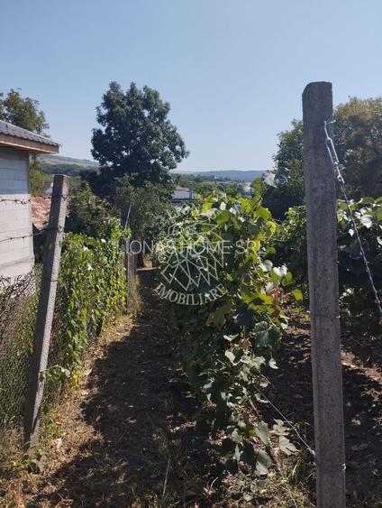 Teren intravilan 2828 mp+autorizatie casa-anexe-livada-Dorolea - 5