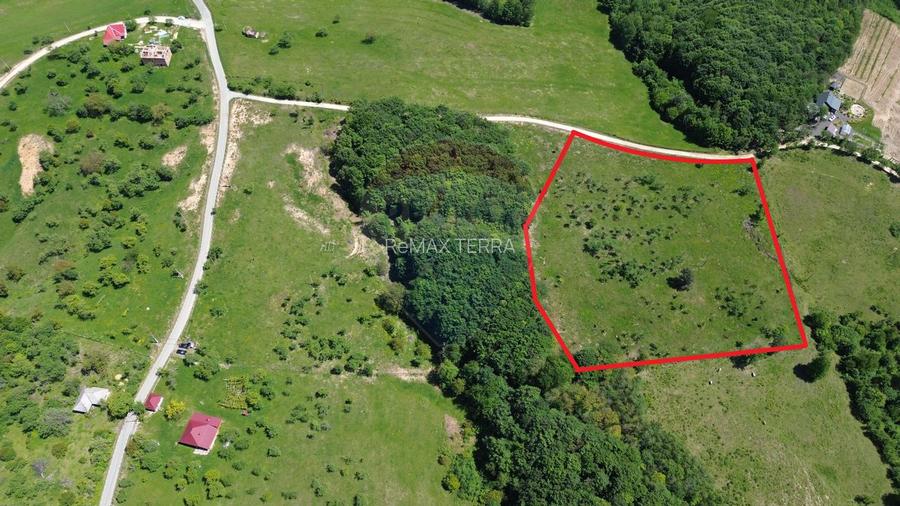 Teren intravilan de vanzare 55 600 mp Codru Butesii - 6