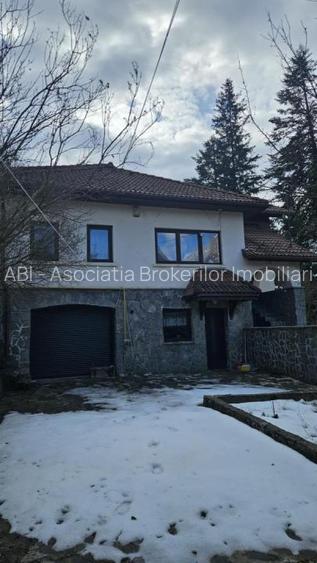 Vila Busteni vedere exceptionala! - 4