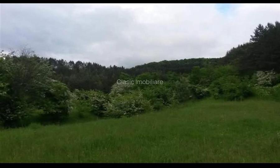 Vanzare teren intravilan 1540 mp in Faget - zona Sf Ion - 2