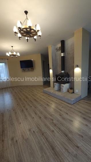 Vila individuala la 30 km de Timișoara - 17