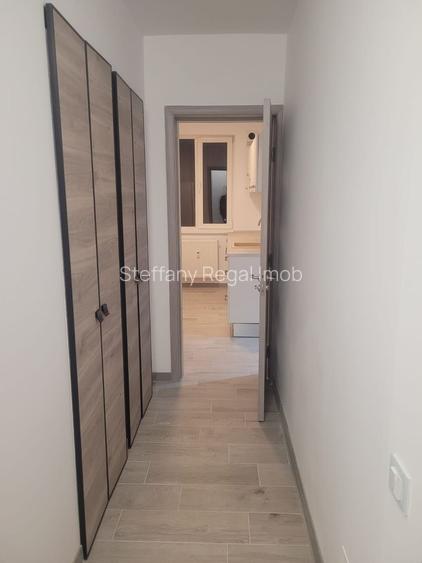 Apartament 2 camere de vanzare Drumul Taberei - Raul Doamnei - 7