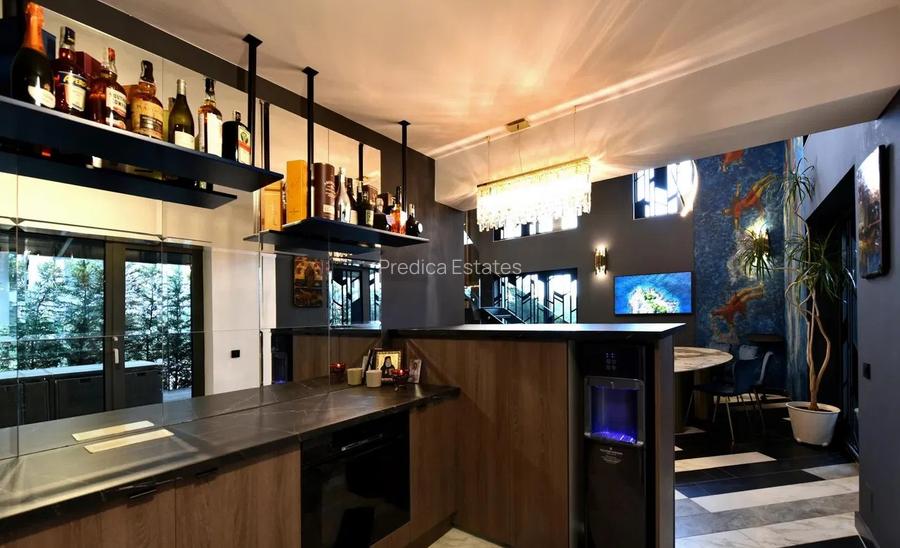 Duplex - Cloud 9, Aviatiei, Promenada, Herastrau - 4