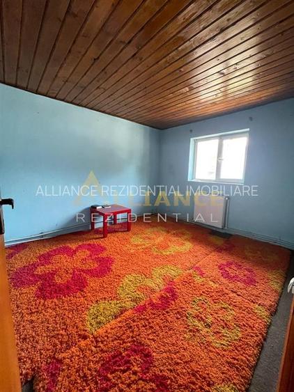 Brancoveanu-Nitu Vasile | Casa Individuala- D+P+1+M - 11